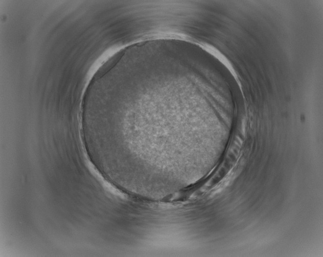 X0000067841005200605111638