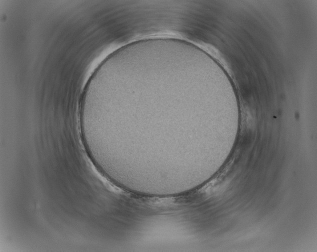 X0000067841006200605111638