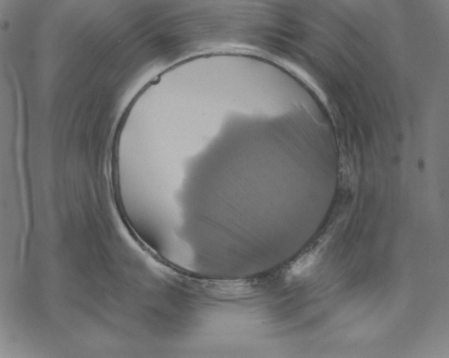 X0000067841007200605111638