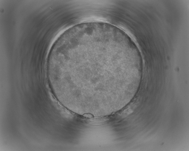 X0000067841008200605111638