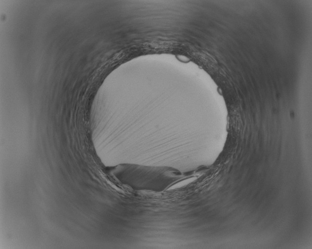 X0000067841009200605111637