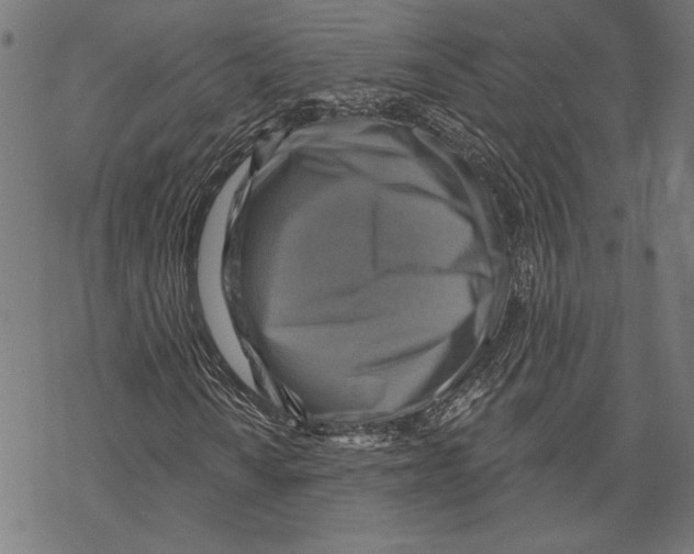 X0000067841010200605111637