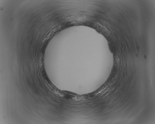 X0000067841012200605111637