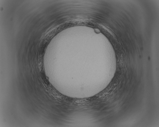 X0000067841015200605111637