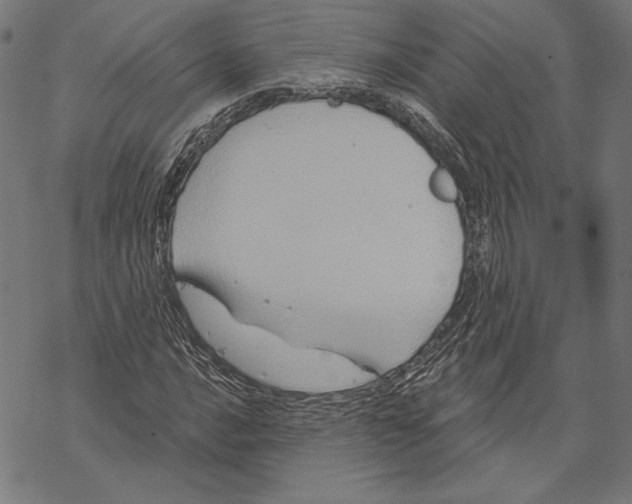 X0000067841016200605111637