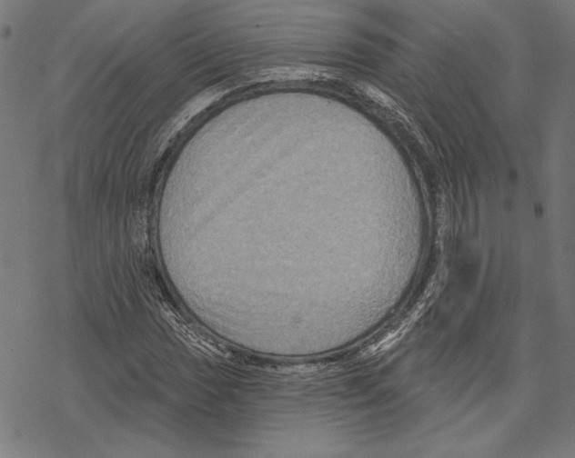 X0000067841017200605111637