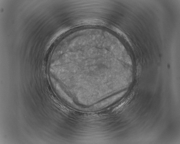 X0000067841019200605111637