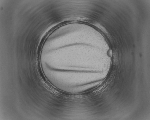 X0000067841020200605111637