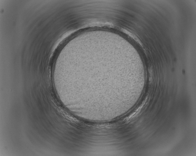 X0000067841021200605111637