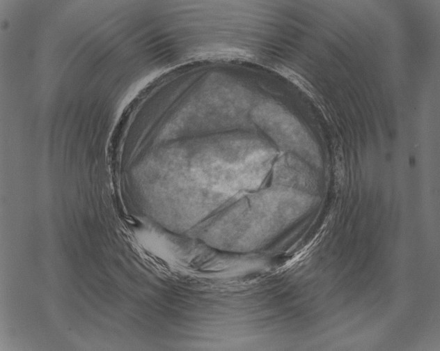 X0000067841022200605111637