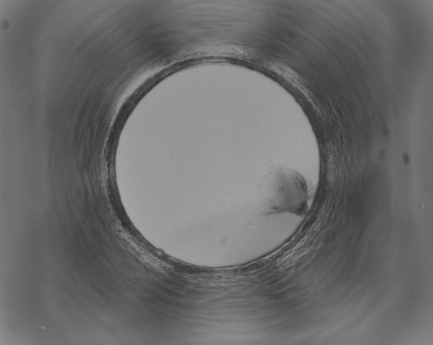 X0000067841024200605111637