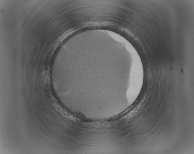 X0000067841025200605111637