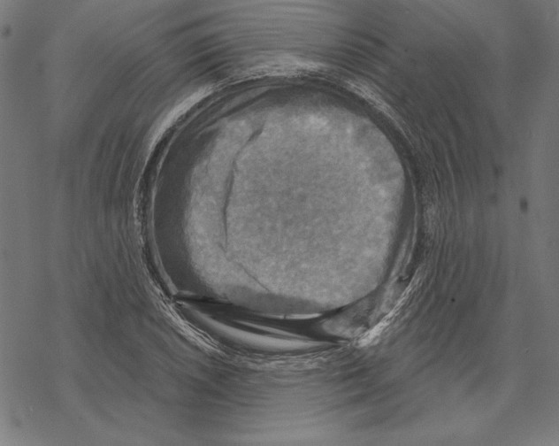 X0000067841026200605111637