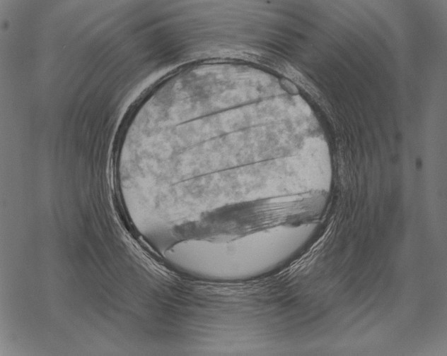 X0000067841028200605111637