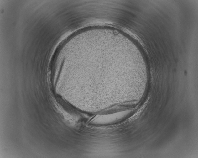 X0000067841029200605111637