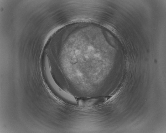 X0000067841030200605111637