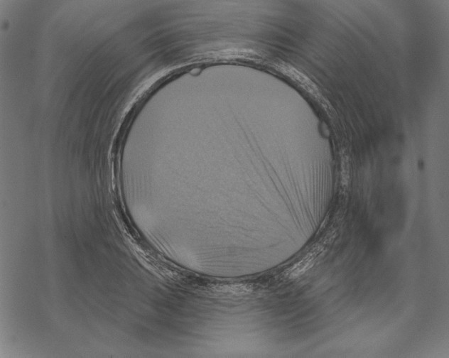 X0000067841031200605111637