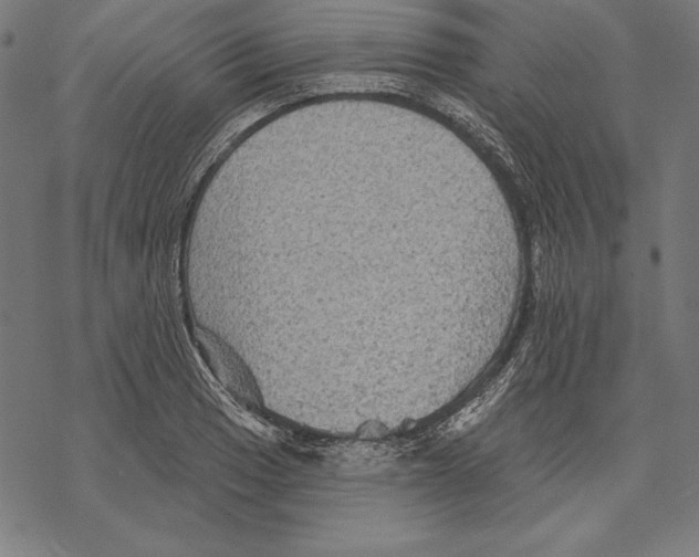 X0000067841033200605111637