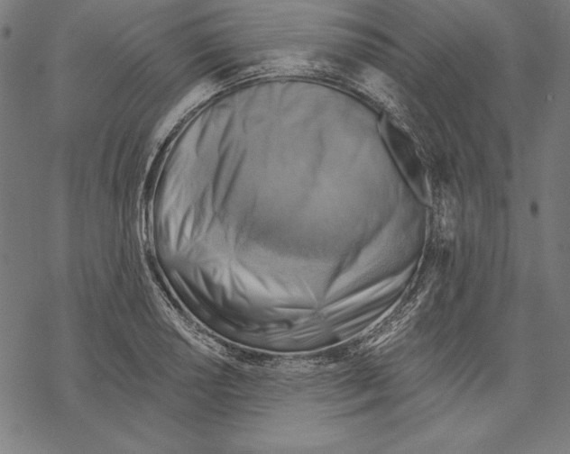 X0000067841034200605111637