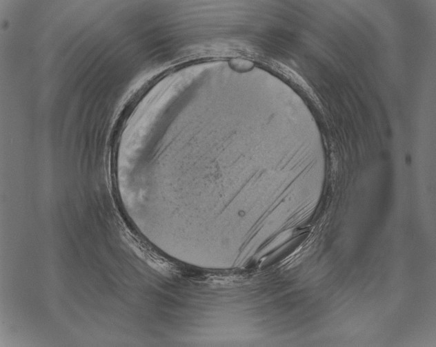 X0000067841035200605111637