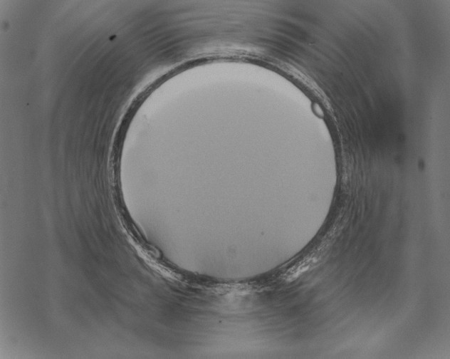 X0000067841037200605111637