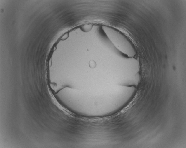 X0000067841038200605111637