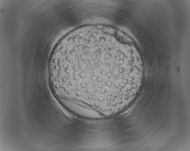 X0000067841040200605111637