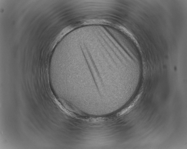 X0000067841041200605111637