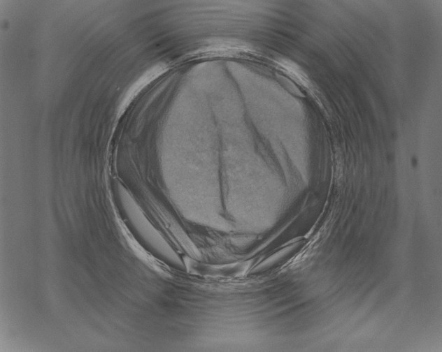 X0000067841042200605111637