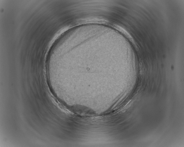 X0000067841043200605111637