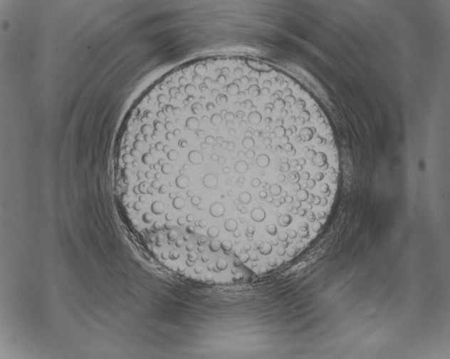 X0000067841044200605111637