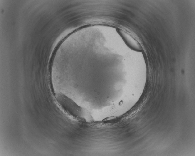 X0000067841045200605111637