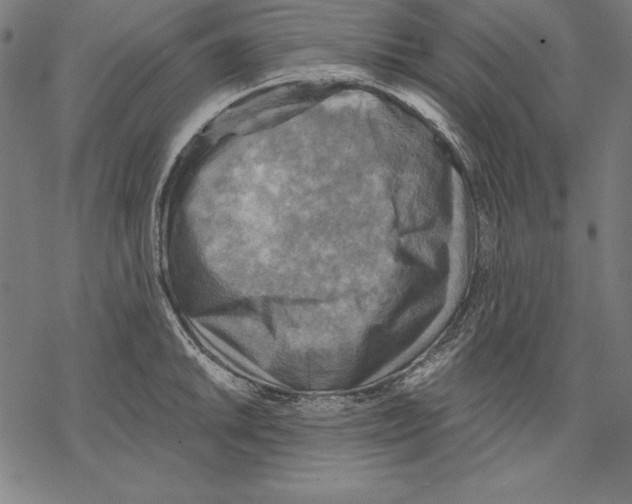 X0000067841046200605111637