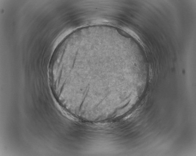 X0000067841047200605111637