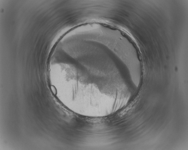 X0000067841048200605111637