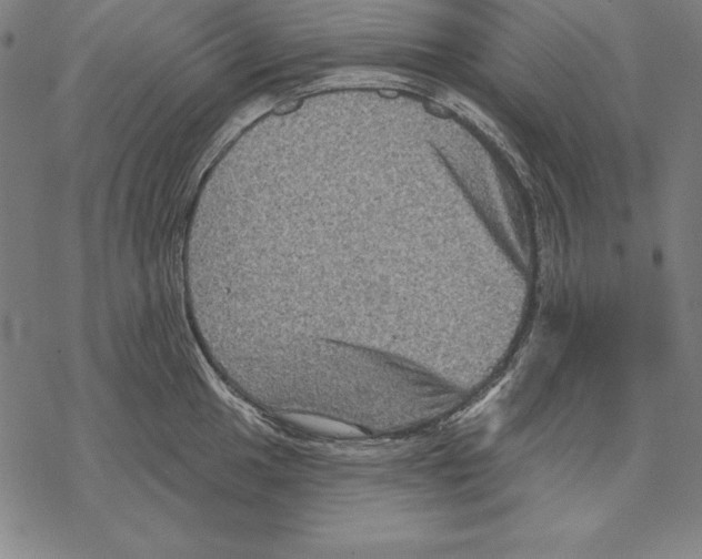 X0000067841049200605111637