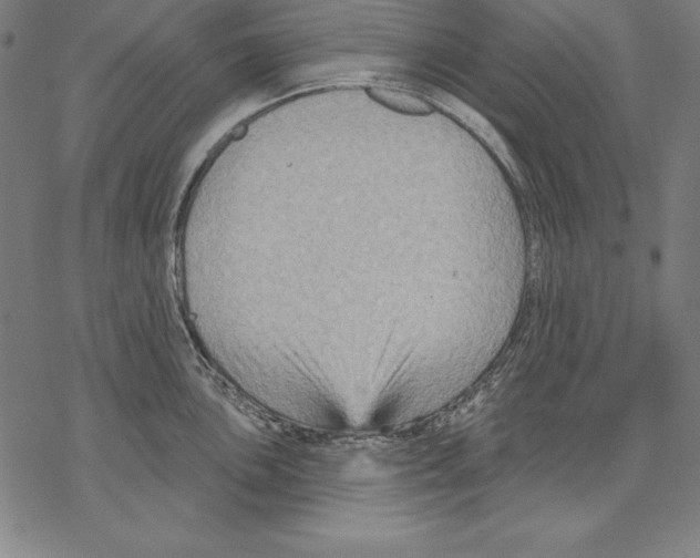 X0000067841051200605111637