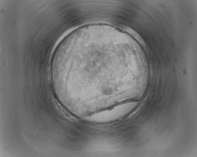 X0000067841052200605111637