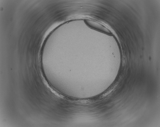 X0000067841053200605111637