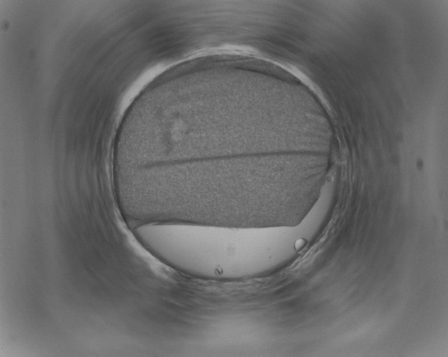 X0000067841054200605111637