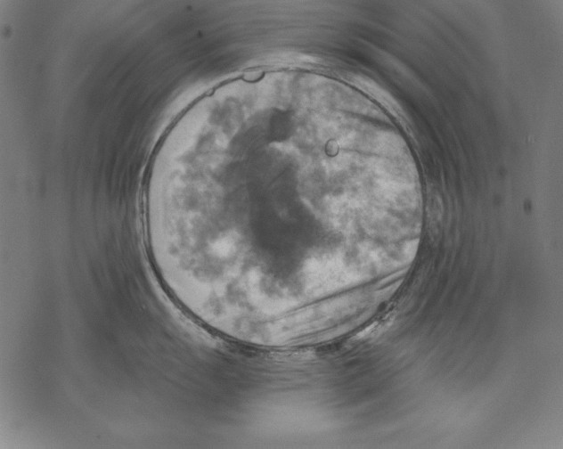 X0000067841055200605111637