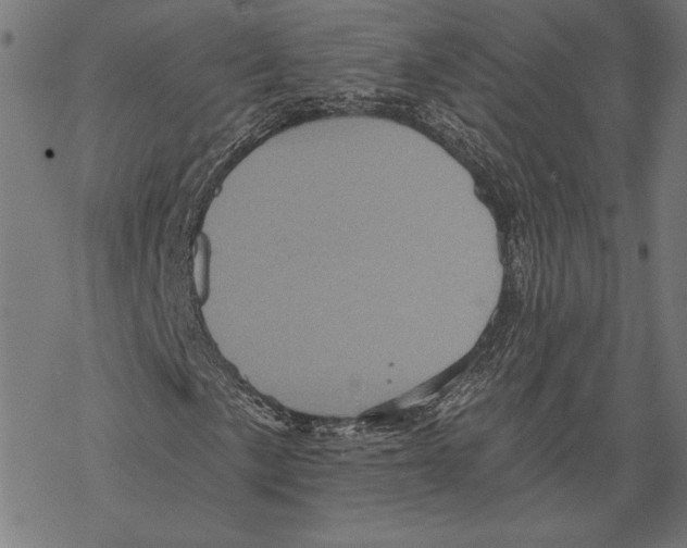 X0000067841057200605111637