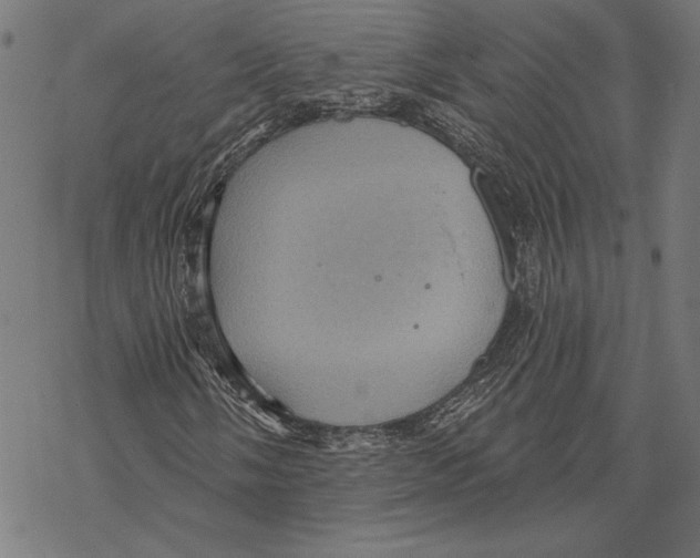 X0000067841058200605111637