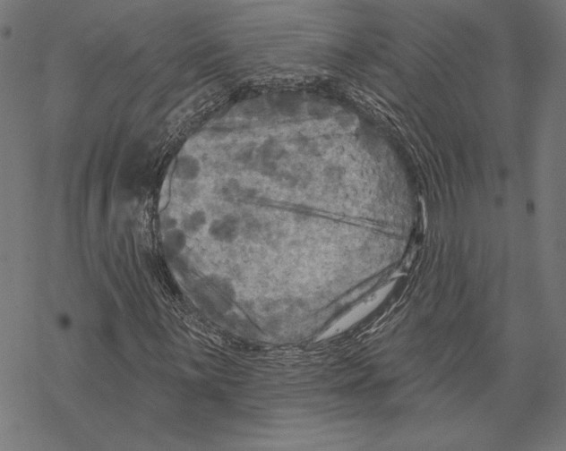 X0000067841059200605111637