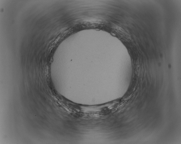 X0000067841061200605111637