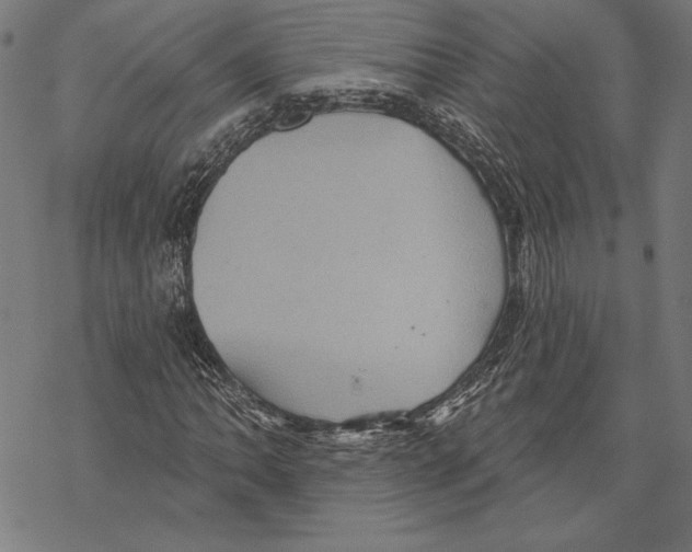 X0000067841062200605111637