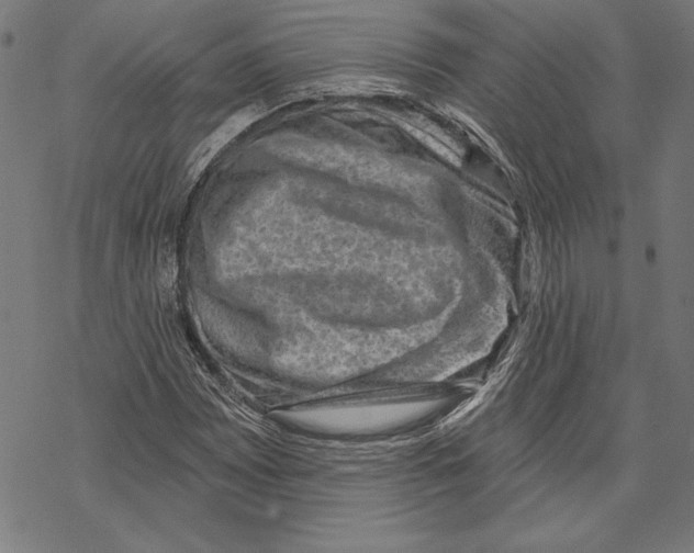 X0000067841065200605111637