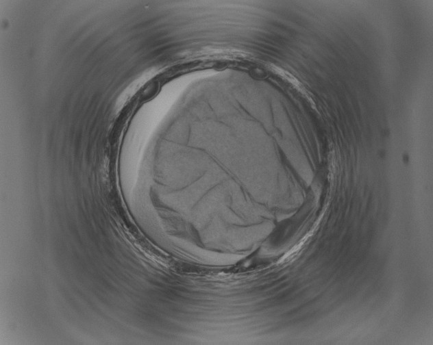 X0000067841066200605111637