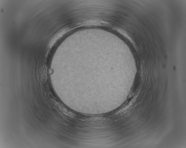 X0000067841067200605111637