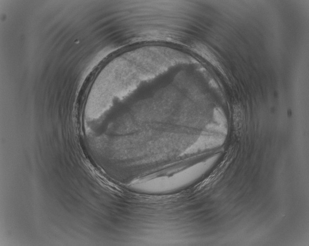 X0000067841068200605111637